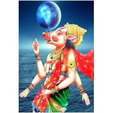 నేడు వరాహ జయంతి
